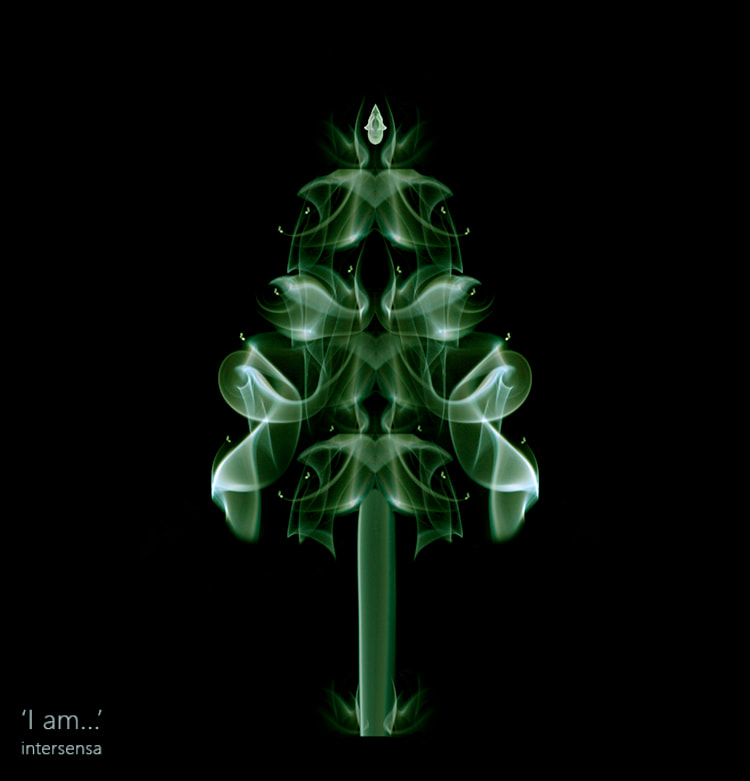 I am, Christmas Tree, fractal, lightcodes, spiritual, esotheric, Christmas, print, canvas, personally made, symmetry, intersensa